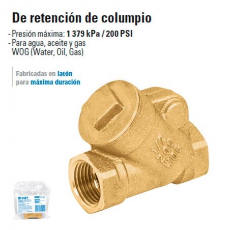 Valvula de Retencion de Columpio 